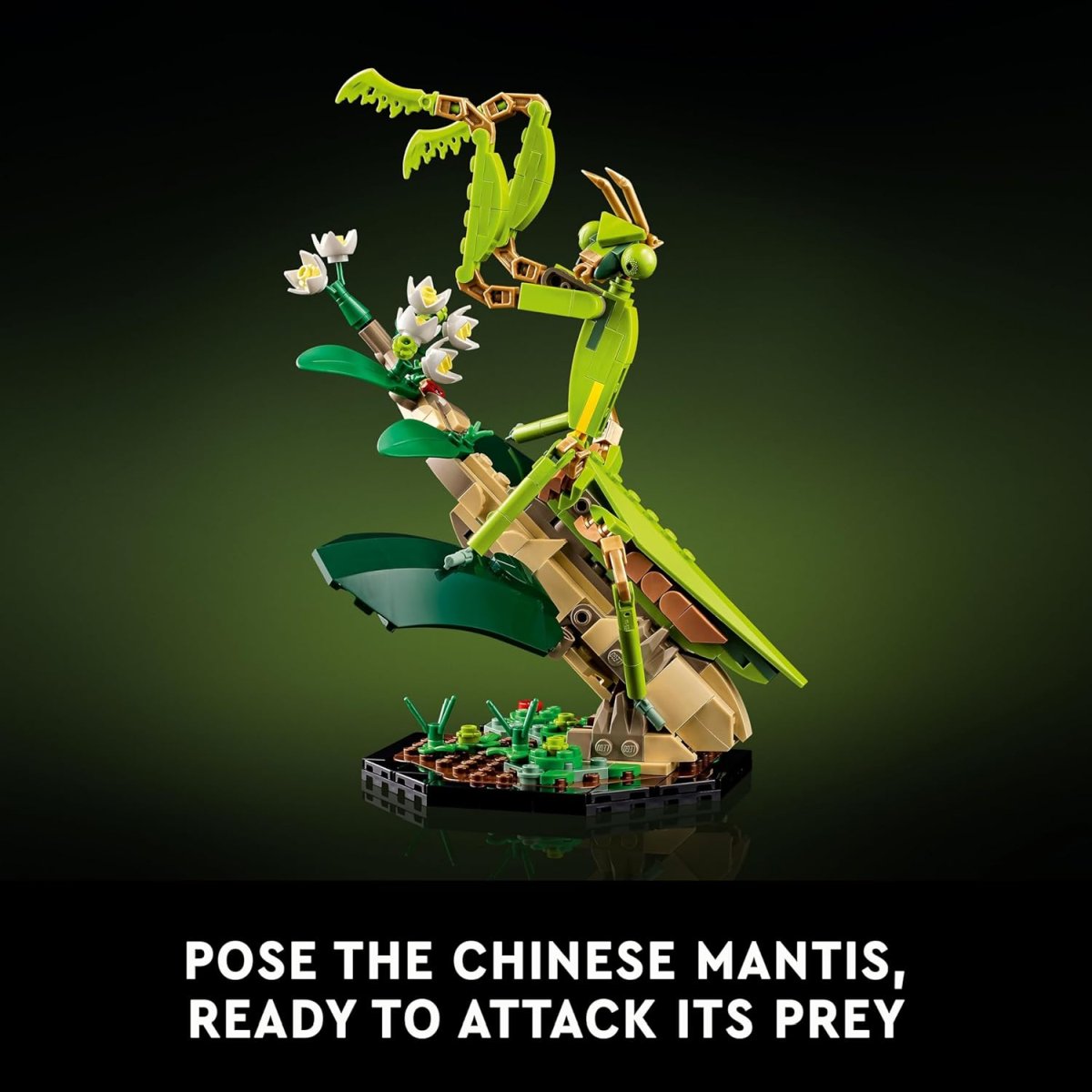 Lego Ideas 21342 Böcek Koleksiyonu - Görsel 6