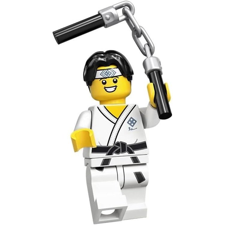 Lego Minifigür - Martial Arts Boy, Seri 20 - 71027-10, col20-10 full aksesuar ikinci el